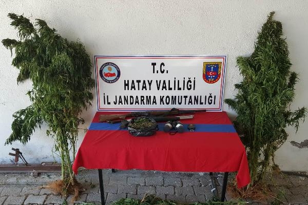 Hatay'da 500 kilo esrar ele geçirildi Hatay'da 500 kilo esrar ele geçirildi