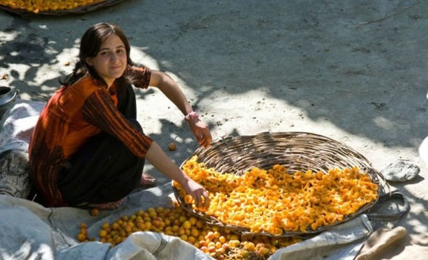 Hunza Türkleri 13