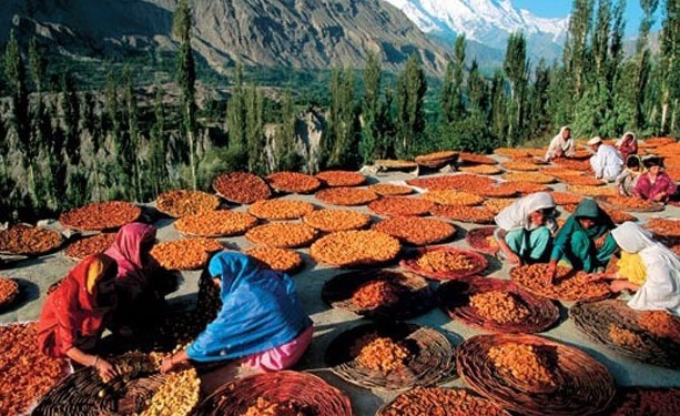 Hunza Türkleri 16