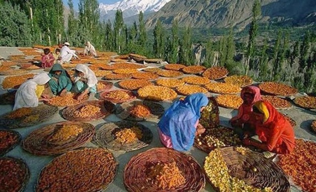 Hunza Türkleri 5