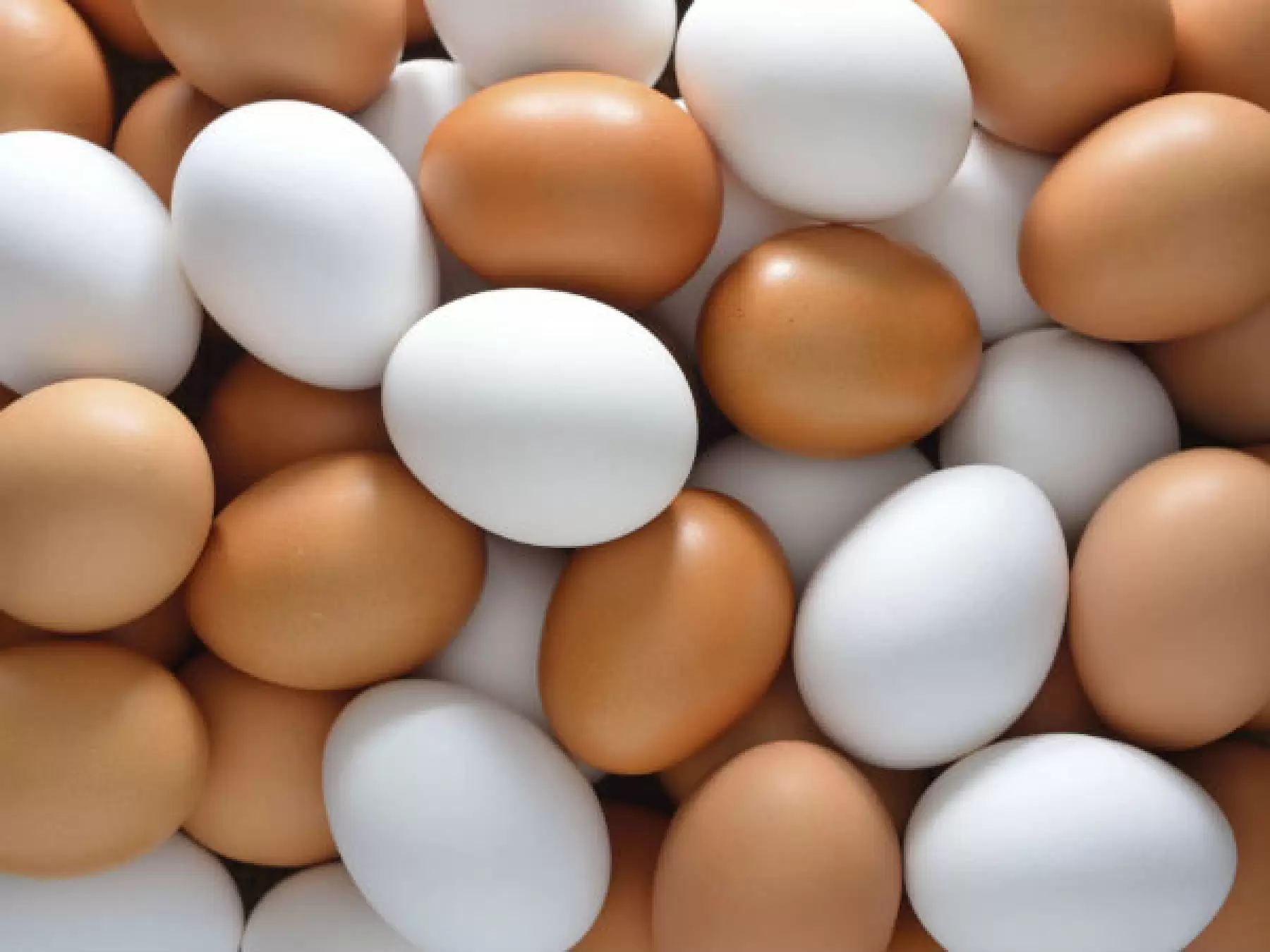 Et Haricinde Protein İçeren 8 Besin: Sağlıklı ve Lezzetli Alternatifler 1
