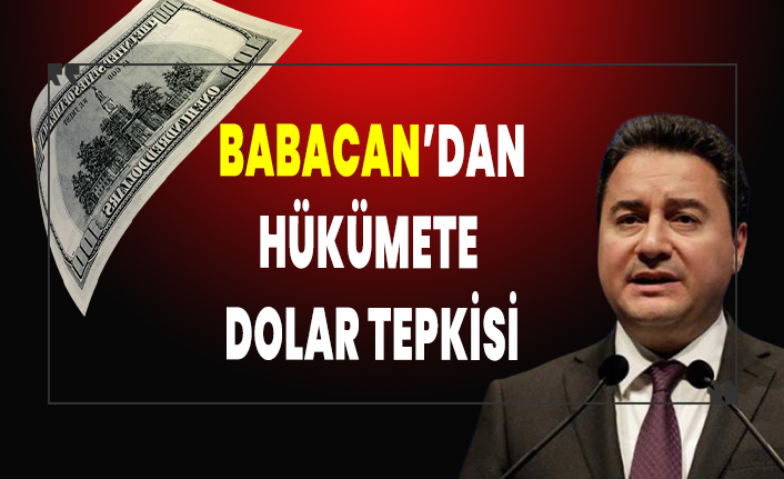 Ali Babacan: Karşılıksız para basarsanız o paranın değeri düşer