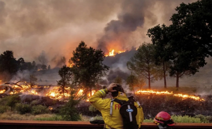 California tarihinin en şiddetli orman yangınlarından birini yaşıyor