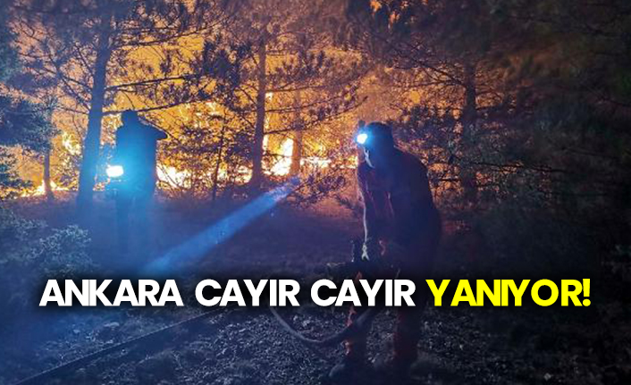 Ankara'da orman yangını saatlerdir sürüyor
