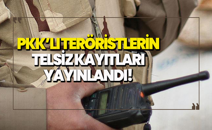 PKK'lı kalleşlerin telsiz konuşmaları ortaya çıktı!