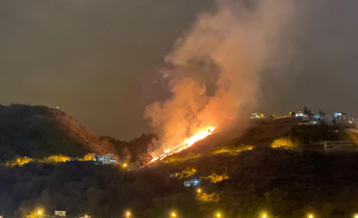 Hatay'dan sonra şimdi de Trabzon... Akyazı'da orman yangını
