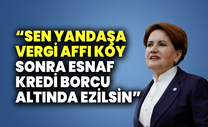 Meral Akşener, Grup toplantısında konuşuyor