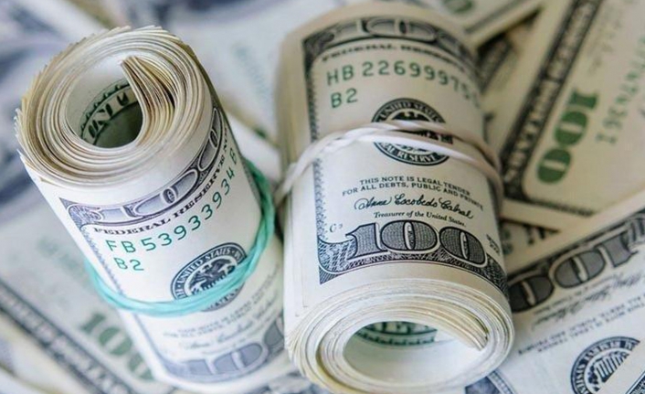 Dolar dur durak bilmiyor