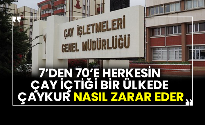 7’den 70’e herkesin çay içtiği bir ülkede ÇAYKUR nasıl zarar eder