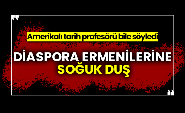 Diaspora Ermenilerine soğuk duş, Amerikalı tarih profesörü bile söyledi