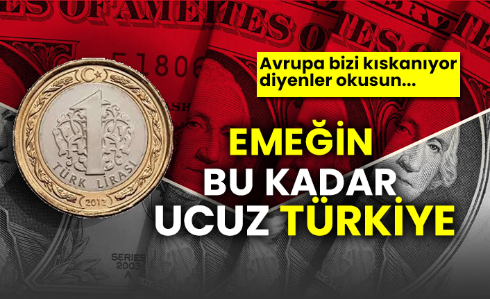Emeğin bu kadar ucuz Türkiye! Avrupa bizi kıskanıyor diyenler okusun...
