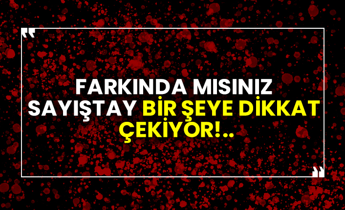 Farkında mısınız Sayıştay bir şeye dikkat çekiyor!..