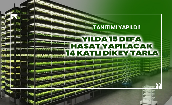 Topraksız 14 katlı tarlada yılda 15 defa hasat yapılacak