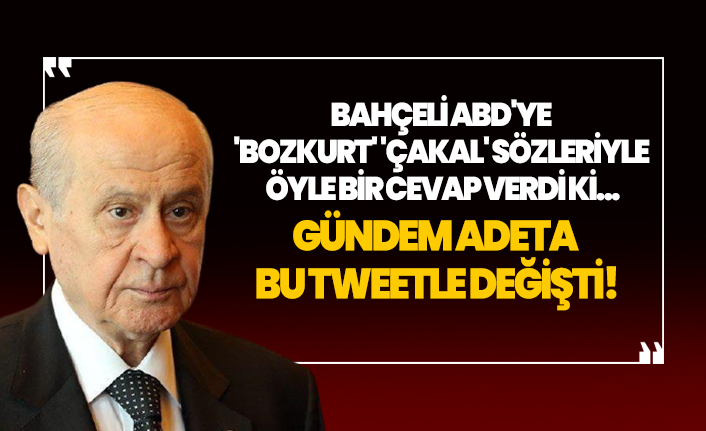 Bahçeli, ABD'ye 'Bozkurt' 'Çakal' sözleriyle öyle bir cevap verdi ki...