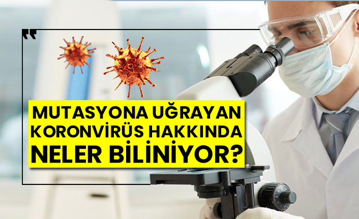 Mutasyona uğrayan koronavirüs hakkında neler biliniyor?