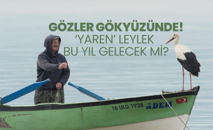 Gözler gökyüzünde! ‘Yaren’ leylek  bu yıl gelecek mi?
