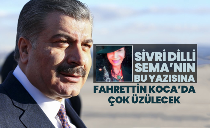 Sema Şakar'ın bu yazısına Fahrettin Koca’da çok üzülecek