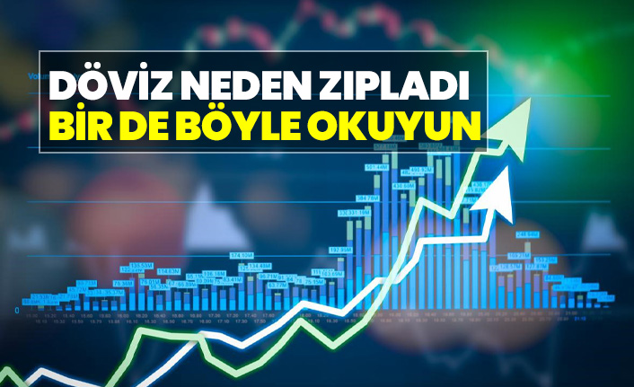 Döviz Neden Zıpladı