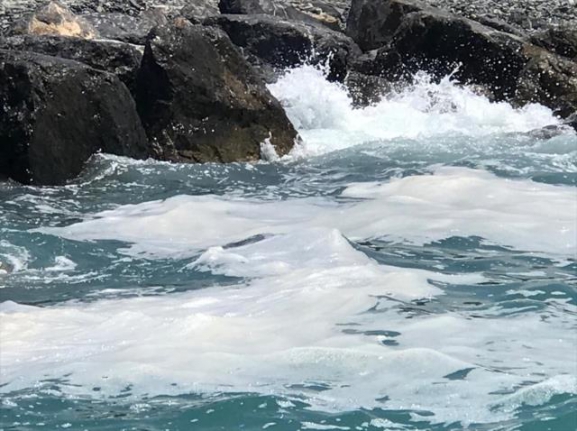 Müsilaj Hatay'da panik yarattı