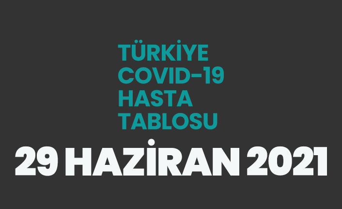 29 Haziran 2021 koronavirüs vaka tablosu açıklandı