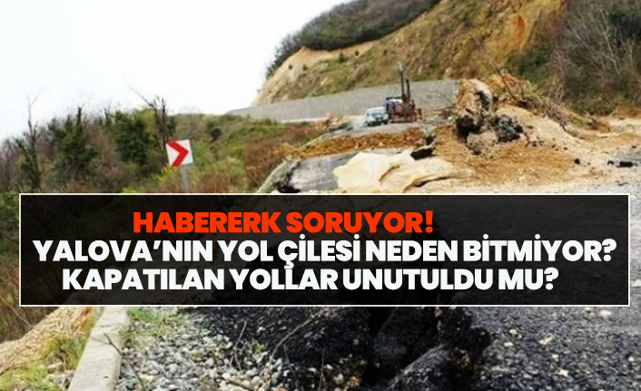 Yalova sahipsiz mi kaldı ?