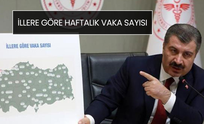 Bakan Koca illere göre 100 bin kişide görülen vaka sayısını açıkladı
