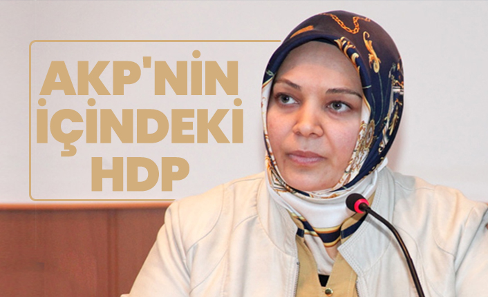 AKP'nin içindeki HDP