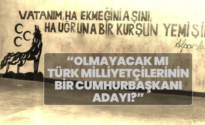Olmayacak mı  Türk milliyetçilerinin  bir Cumhurbaşkanı  adayı?