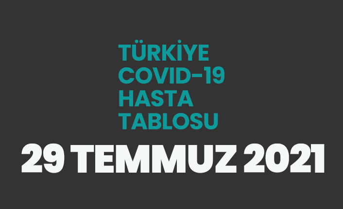 29 Temmuz 2021 Türkiye'de koronavirüs tablosu açıklandı