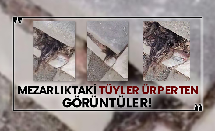 Mezarlıktaki tüyler ürperten görüntüler!