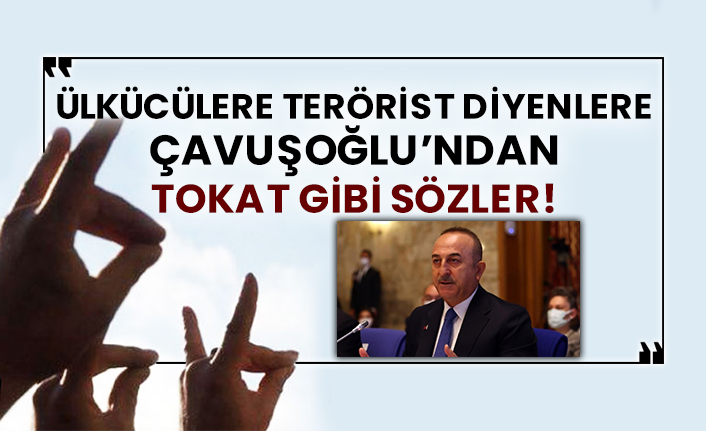 Ülkücülere terörist diyenlere Çavuşoğlu’ndan tokat gibi sözler!