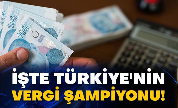 İşte Türkiye'nin vergi şampiyonu!