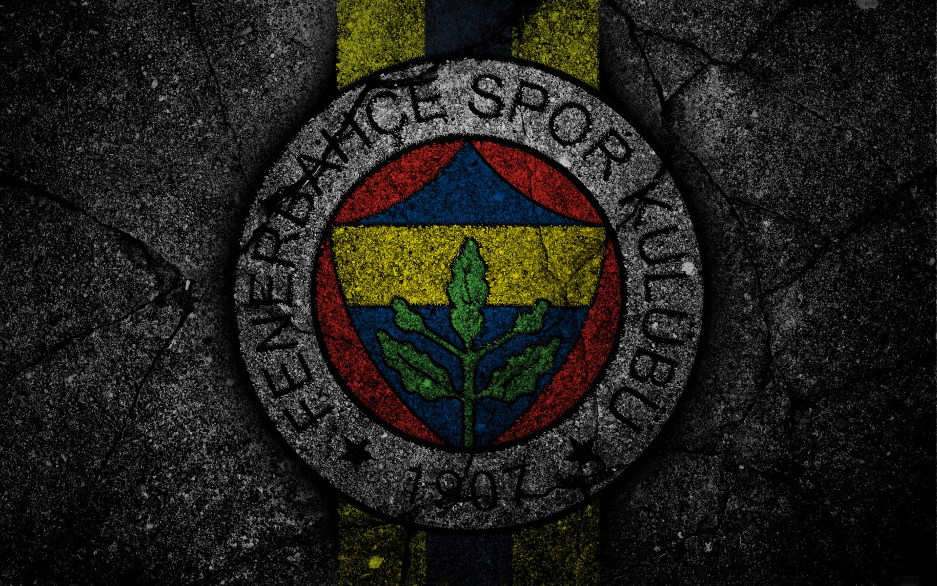 Fenerbahçe’de sakatlık şoku!