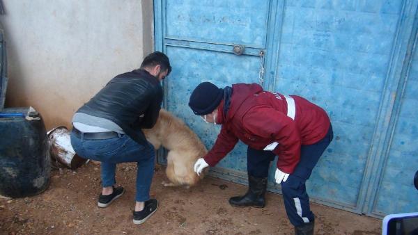 Karantinaya alınan köylerde son durum ne!
