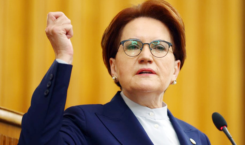 Meral Akşener Danıştay'a sordu: Kadınlara 'sürtük' demek hukuka uygun muymuş?