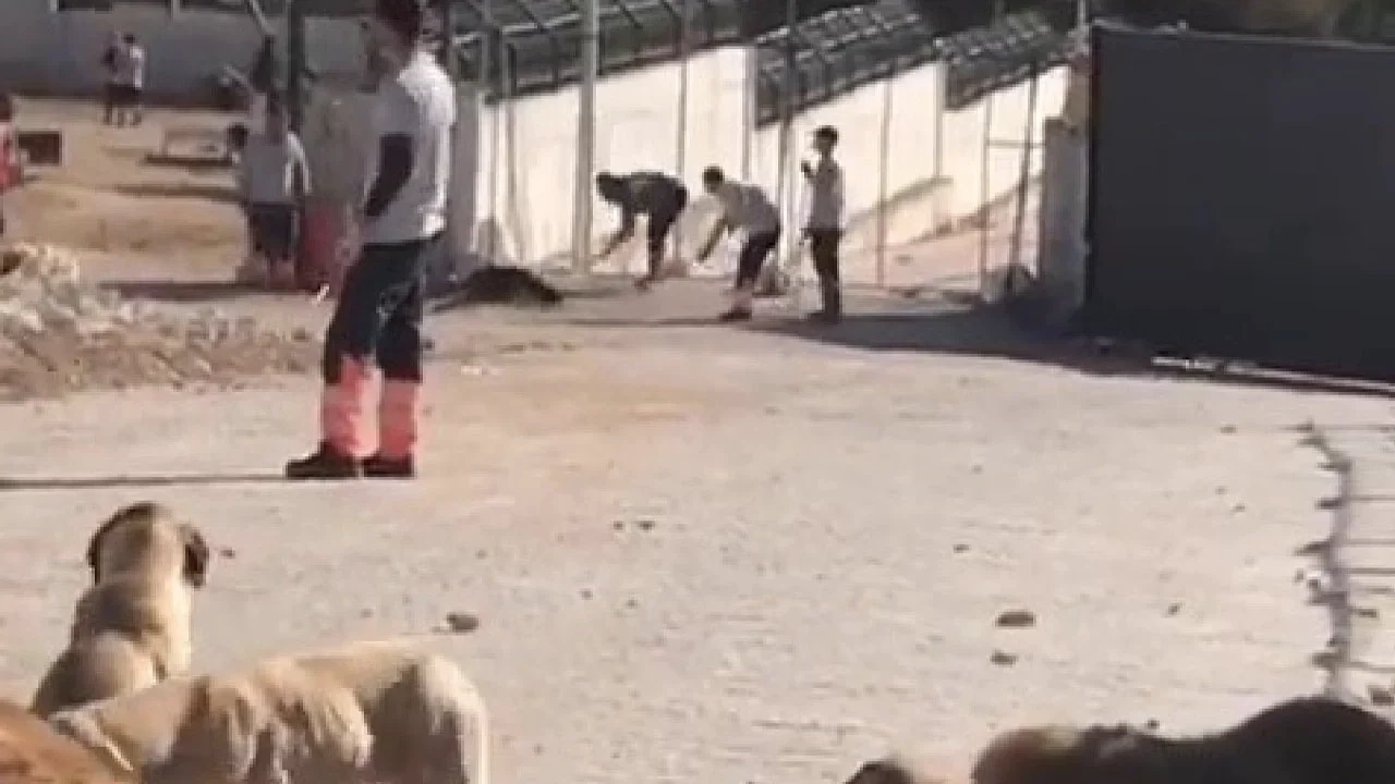 Kanlı kürek davasının sanıkları 1 yıl 3 ay ceza aldı