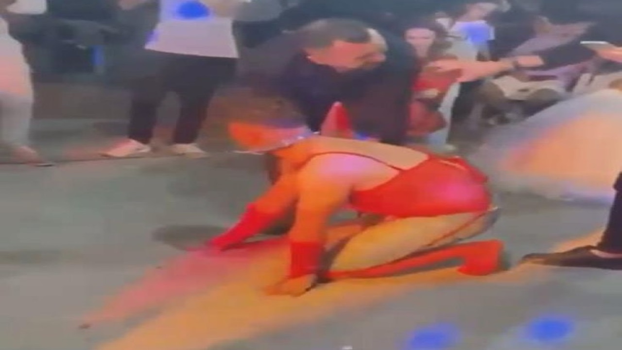 Jartiyerli tasmalı damat rezaleti!