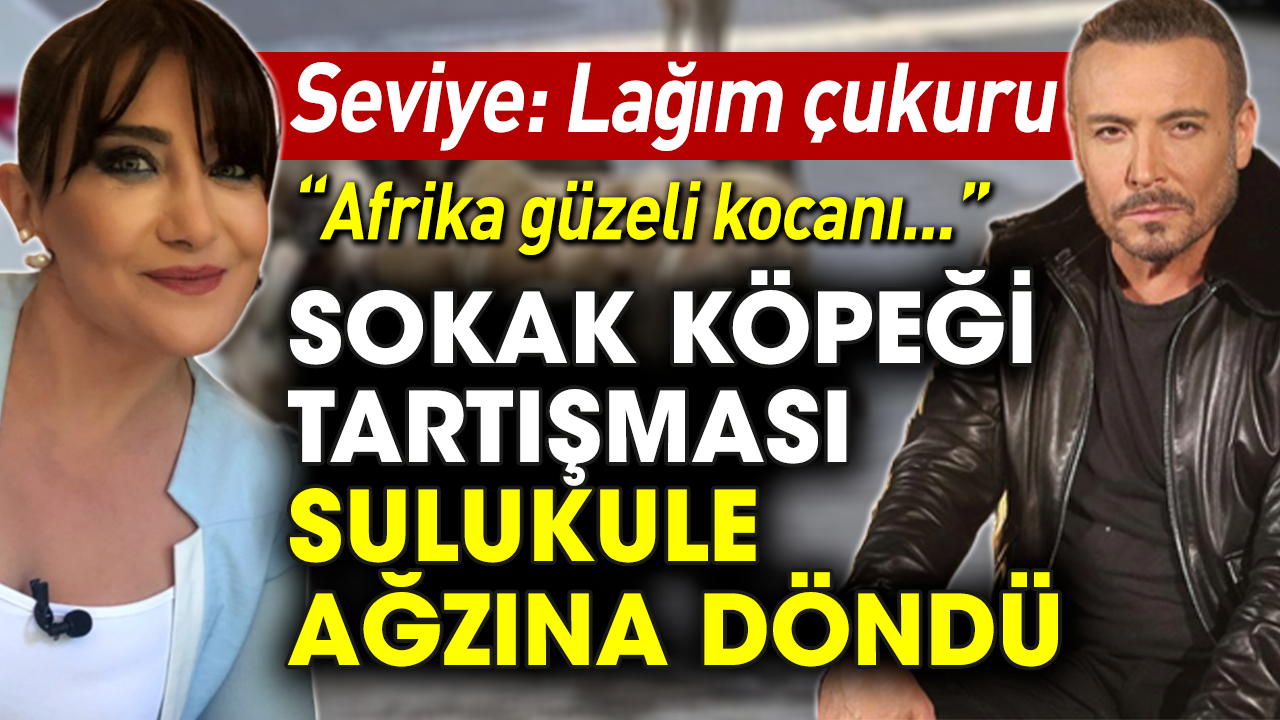 Sevilay Yılman ile Cenk Eren arasında sokak köpeği tartışması