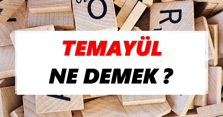 Temayül yoklaması ne demek?
