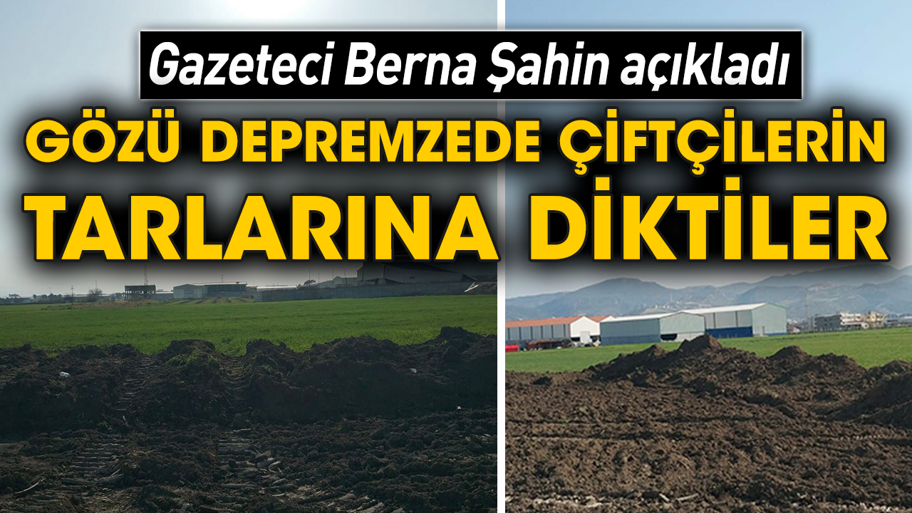 Gazeteci Berna Şahin açıkladı! Gözü depremzede çiftçilerin tarlarına diktiler