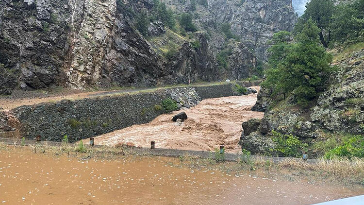 Doğu Karadeniz’in kaderi!