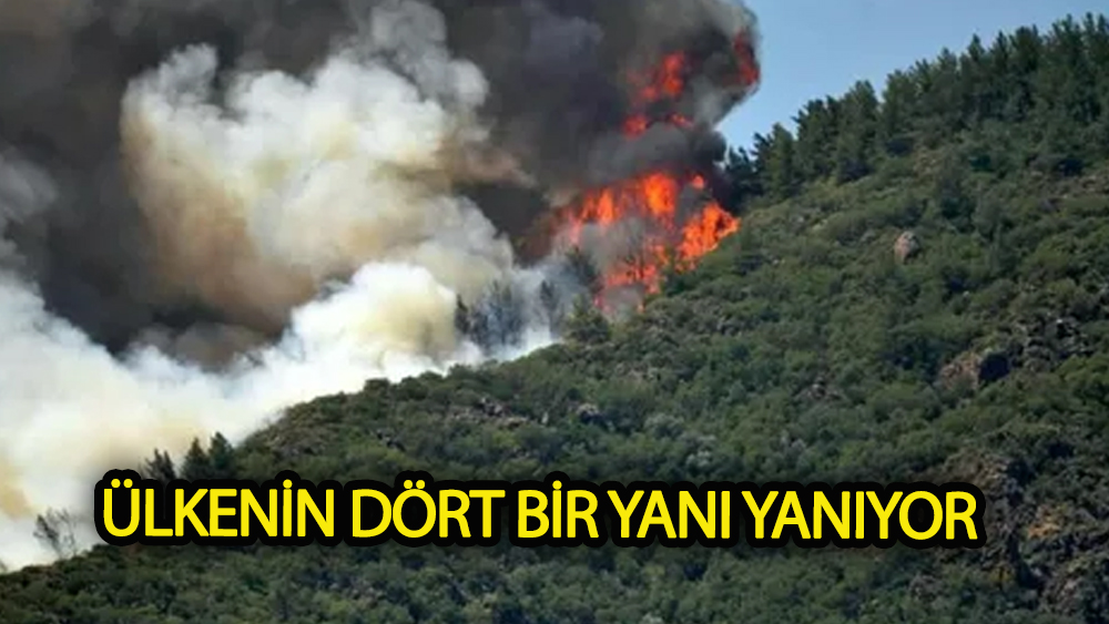 Ülkenin dört bir yanı yanıyor