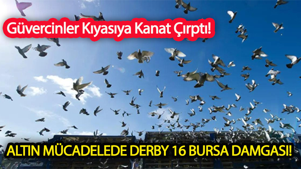 Altın Mücadelede Derby 16 Bursa Damgası!