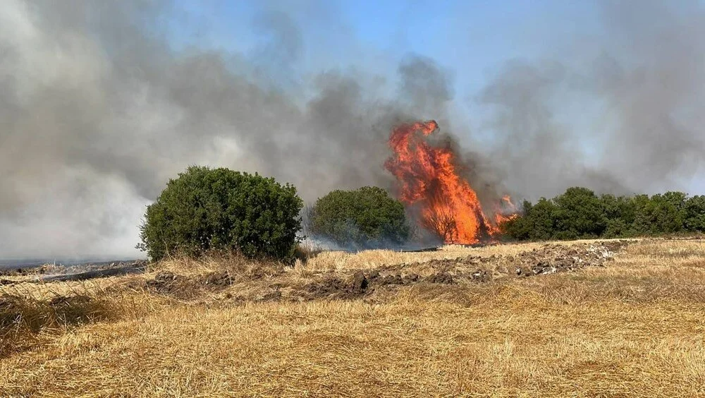 Çanakkale’nin Biga ilçesinde orman yangını