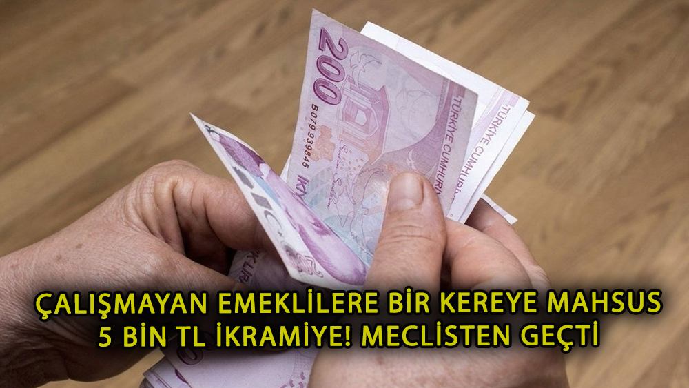 Emeklilere bir defalığına 5 bin TL ikramiye! Meclisten geçti
