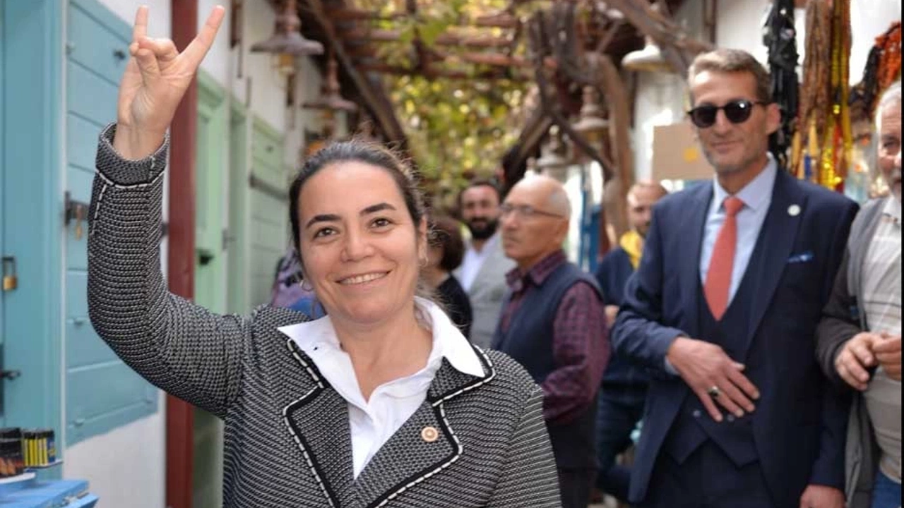 Türkeş, Türkler Bakanlığı kurulması  için teklif verdi
