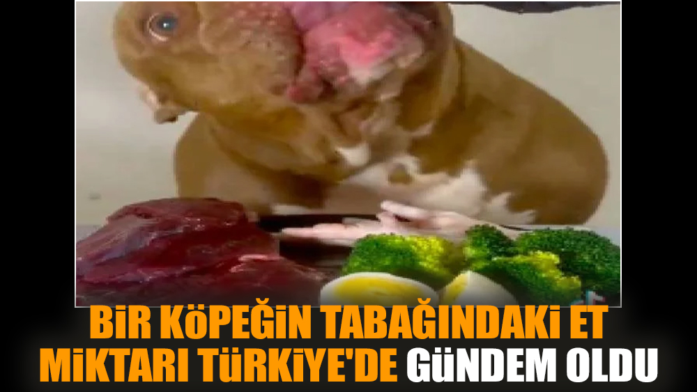 Bir köpeğin tabağındaki et miktarı Türkiye'de gündem oldu