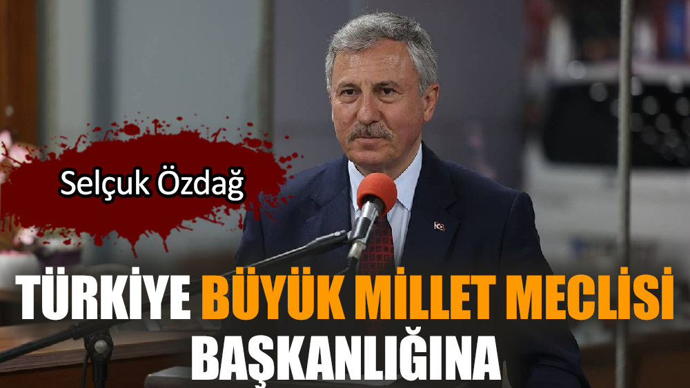 Türkiye Büyük Millet Meclisi Başkanlığına