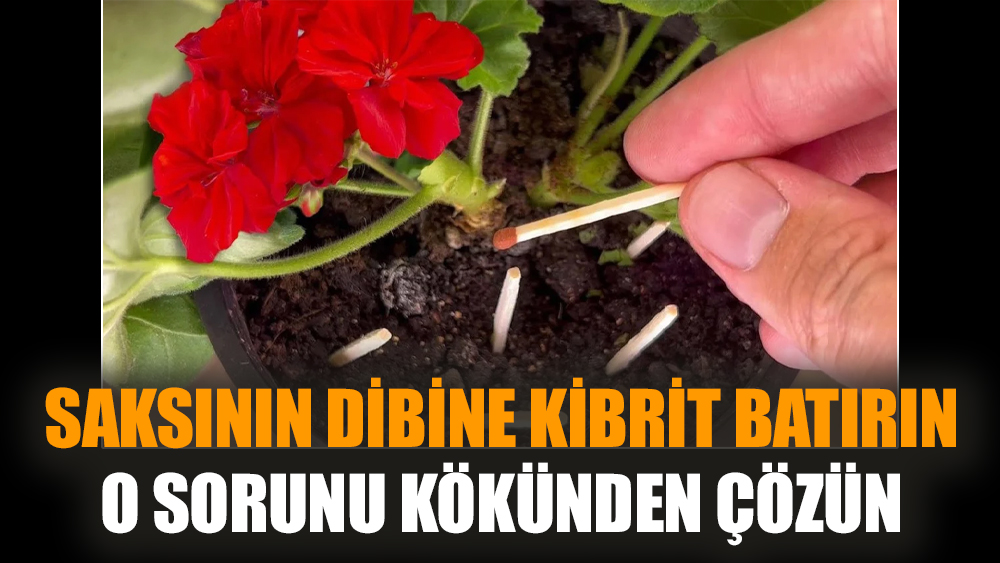 Saksının dibine kibrit batırın, o sorunu kökünden çözün
