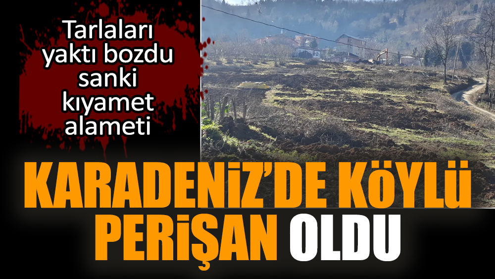Karadeniz’de köylü perişan oldu